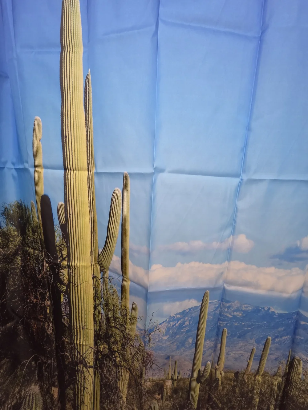 Nwot, Desert Cactus Blue Shower Curtain - Home Bath